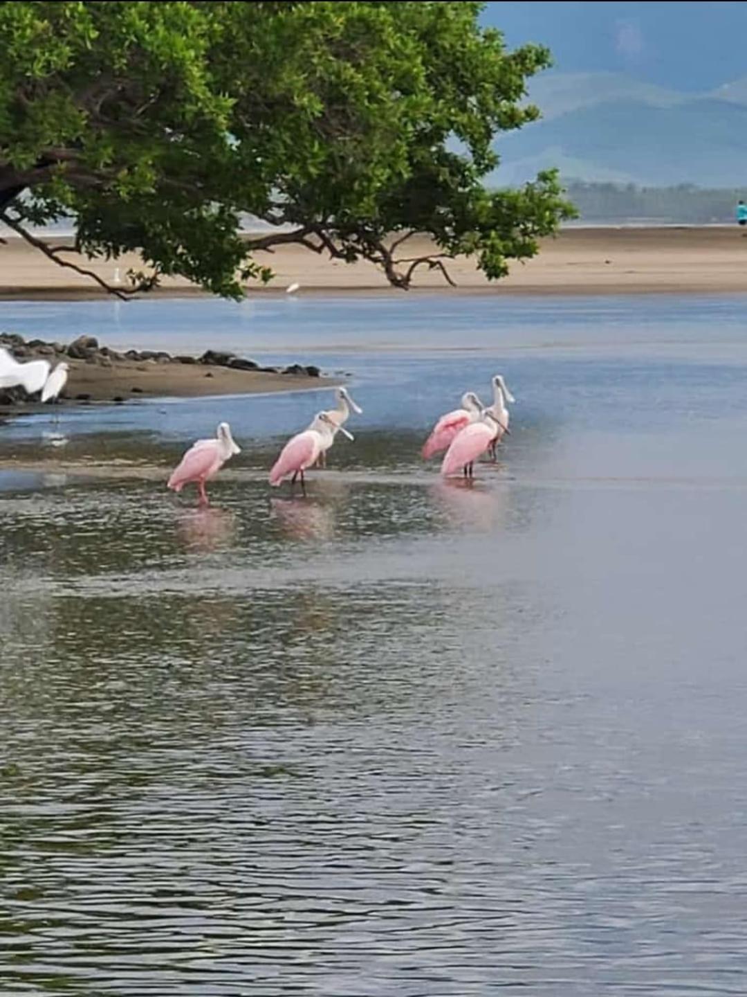 Turtle Beach Villas Zihuatanejo Kültér fotó