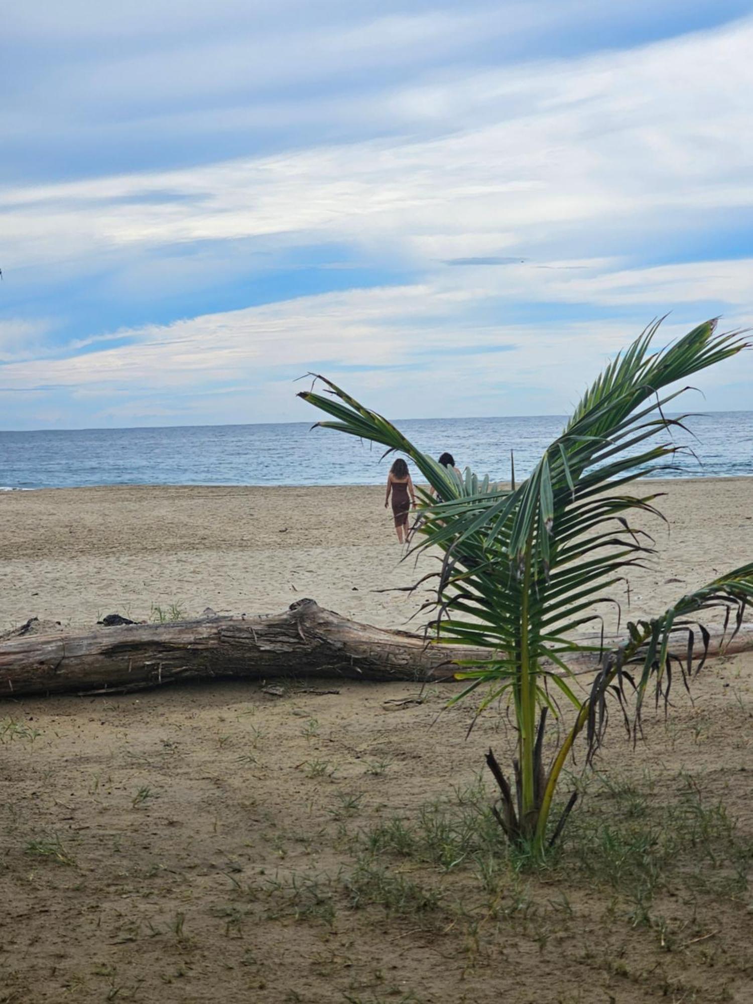 Turtle Beach Villas Zihuatanejo Kültér fotó